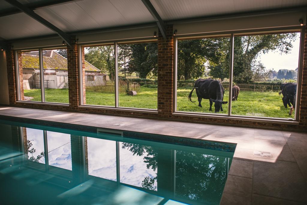 The At Launceston Farm Blandford Forum